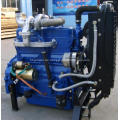 Weifang 50hp Dieselmotor 495ZD für generator